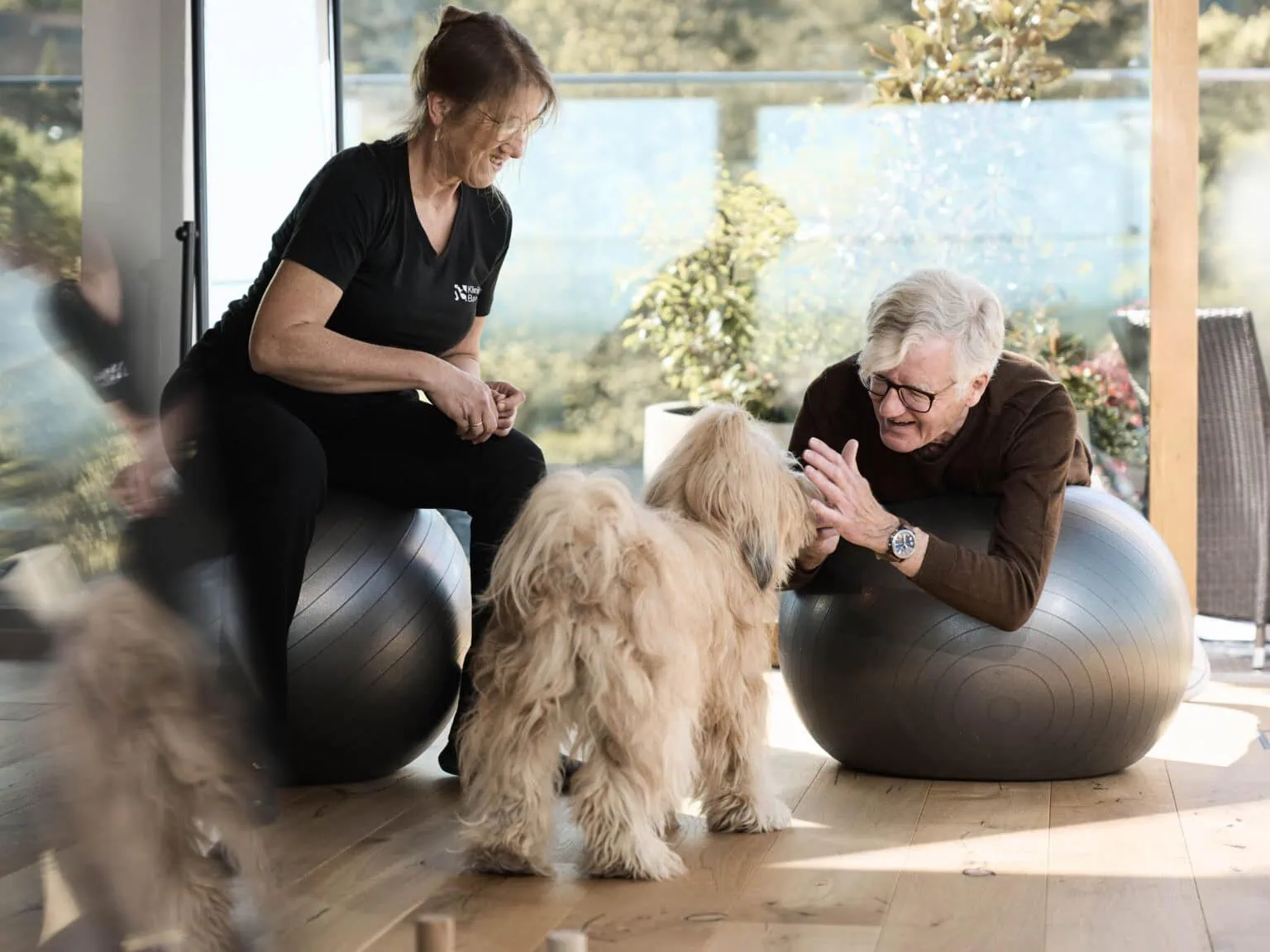 Hundetherapie luxus klinik Hundetherapie luxus klinik