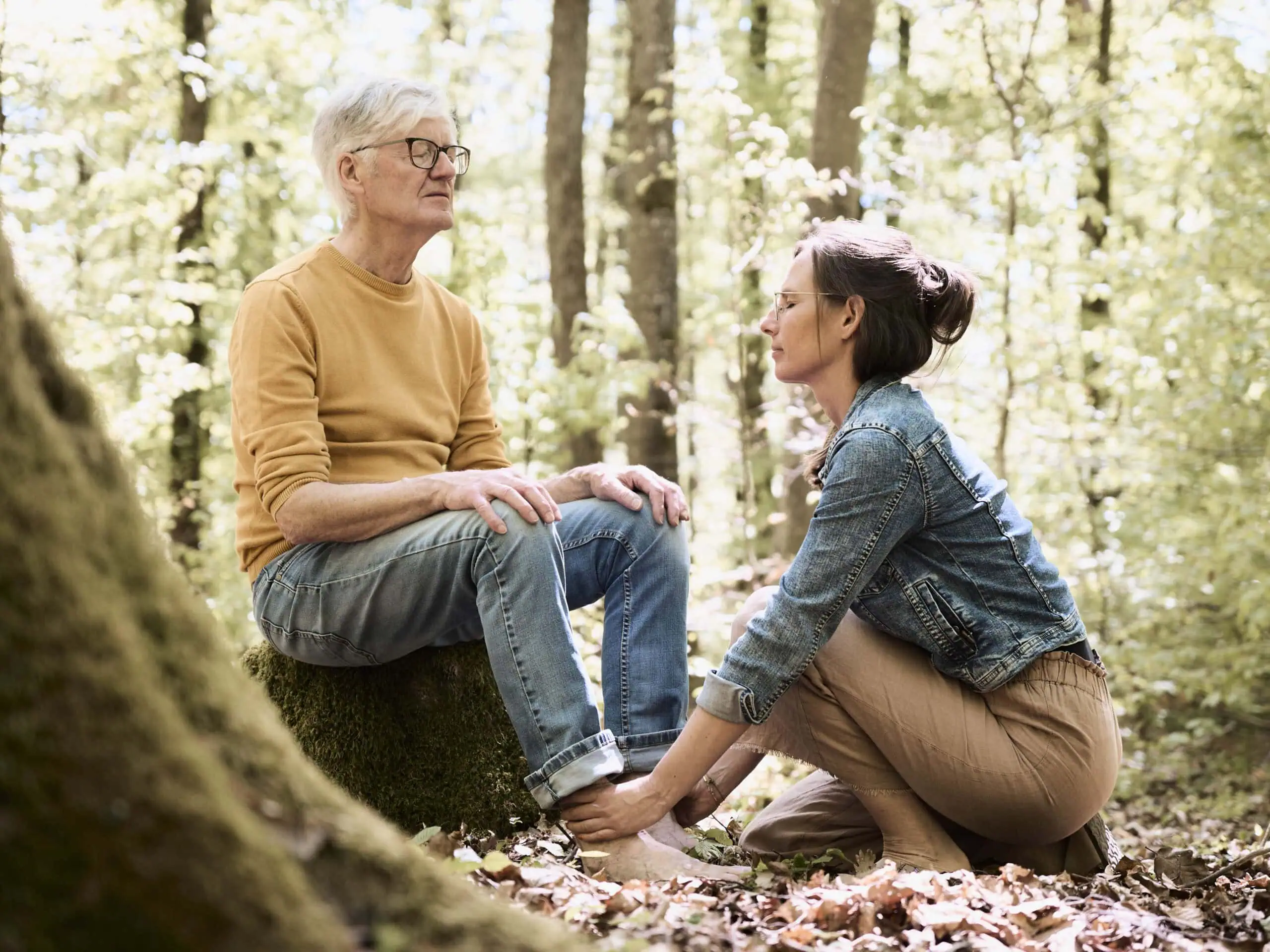 Waldtherapie luxus klinik Waldtherapie luxus klinik