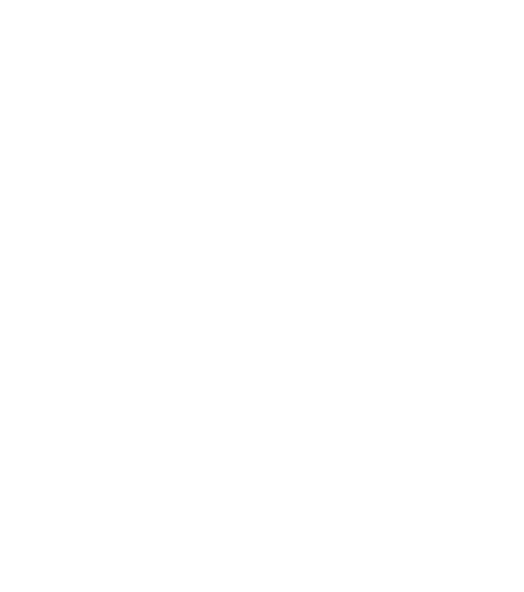 saluto care weiß logo word